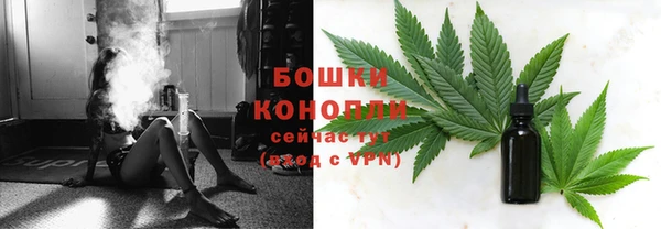 молекула духа Володарск