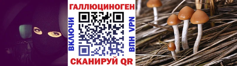 Галлюциногенные грибы GOLDEN TEACHER  Новосокольники 